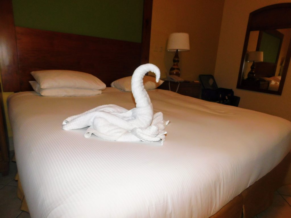 Towel animal in the shape of a swan.  This was not planned, but still a welcome part of our Costa Rica birding trip.