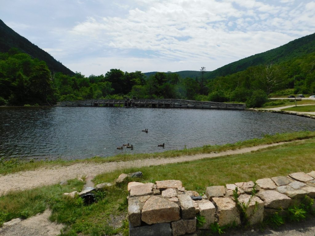 Pond with ducks in the White Mountain National Forest