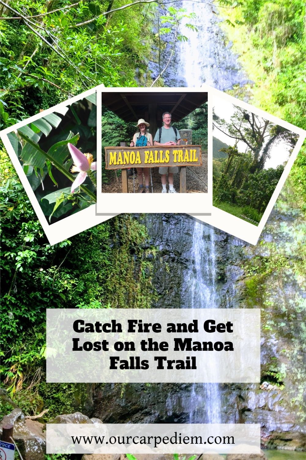 Catch Fire and Get Lost on the Manoa Falls Trail