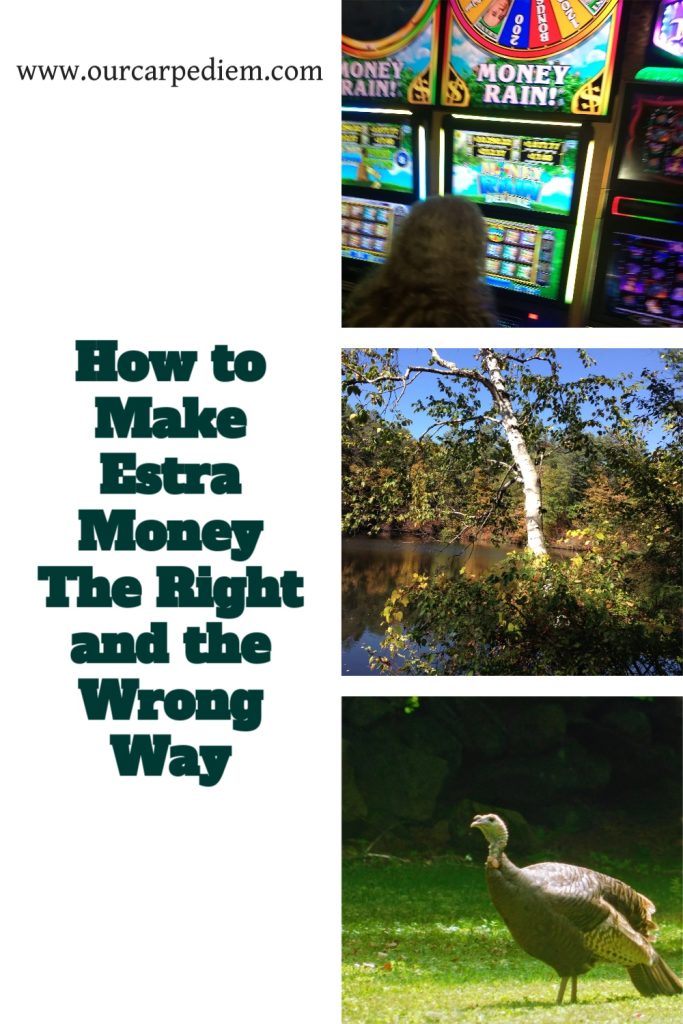 Want to make extra money? Find the best ways to do so, but also avoid the “too good to be true” ways. So get good ideas to make money, and avoid the ways to not make money. Just for you, we have tried the empty ones, the ones that promise rainbows and unicorns, while delivering a pitiful amount of money for way too much work. Don’t repeat our mistakes! Use our experience and make money your way! Find what works for you! #MakeMoney #OurCarpeDiem #MoneyFailures
