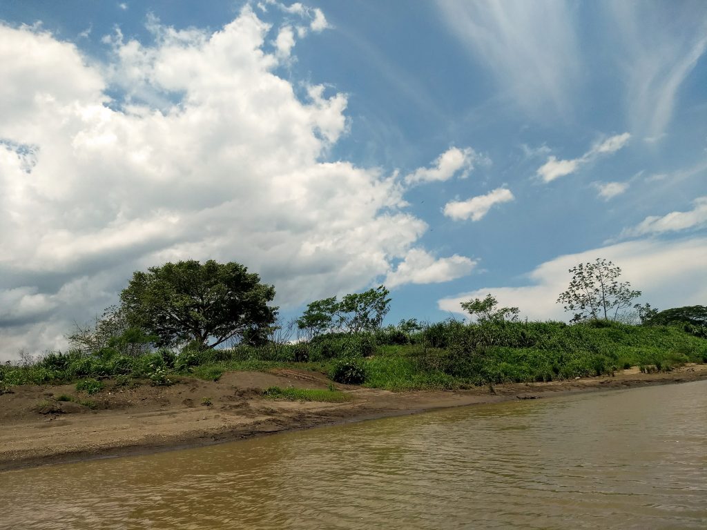 Tarcoles River
Where we did a crocodile tour and witnessed the top predator