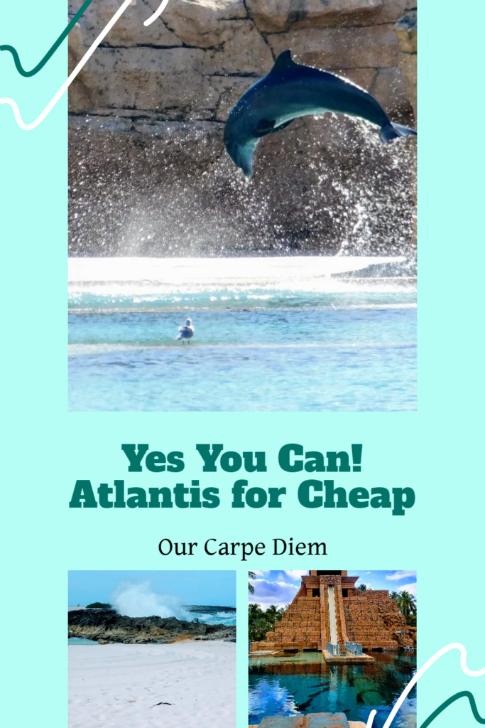 Atlantis Bahamas. How to do it on the cheap on a budget? Is the dining plan worth it? How can you get a free stay at Paradise Island? Dolphins, sharks, rays, lobsters and sawfish. How to get Caesars Diamond status for a complimentary stay in the Royal. Affordable food. The fish fry.  What is #Aquaventure? #ThingToDo #TravelDestinations #BudgetTravel. #ComfortSuites #ParadiseIsland #OurCarpeDiem #Atlantis
