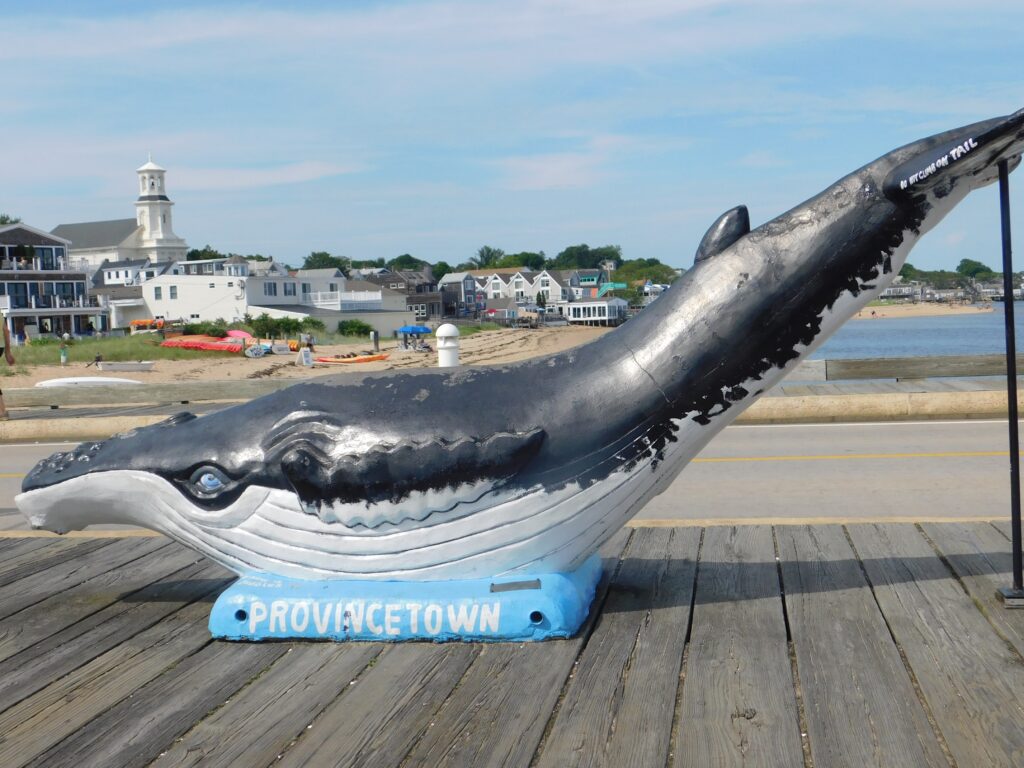 Whale statue in Provincetown