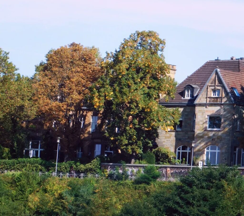 muted fall colors in Cologne