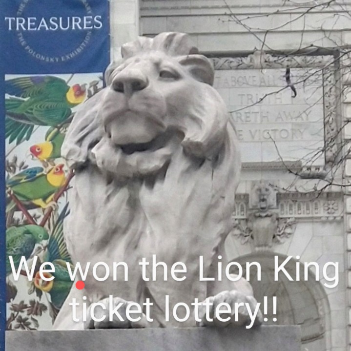 NYC Public Library Lion with "We won the Lion King lottery" text 
A fabulour Broadway ticket win!