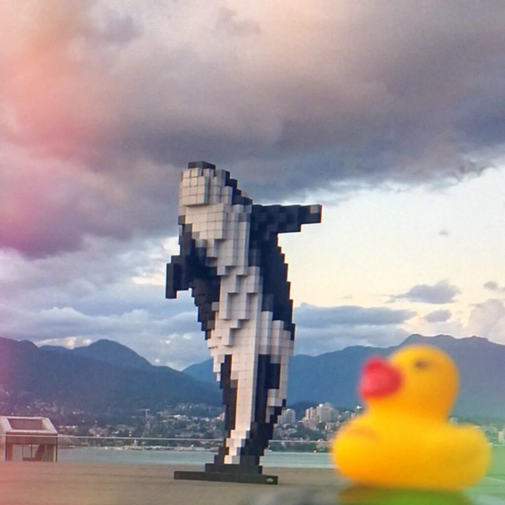 Rubber ducky Flat Stanley watching a breeching whale statue in Vancouver BC