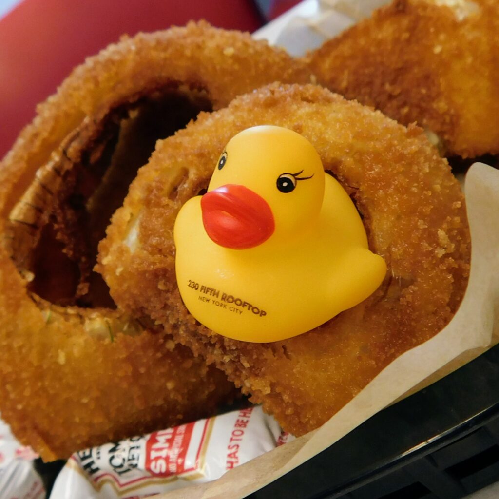 Rubber ducky in onion rings