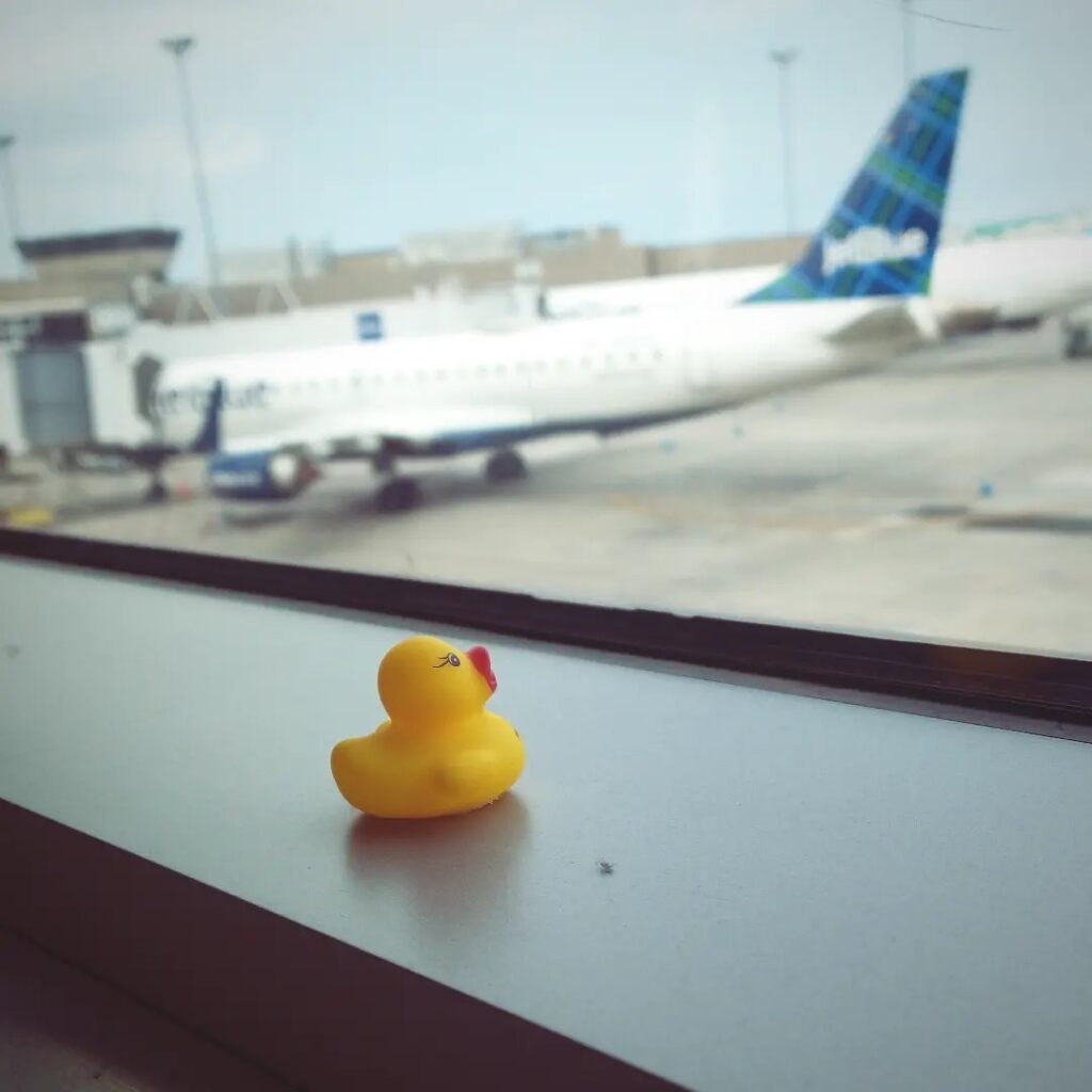 Kwek looks out to an airplane on the tarmac