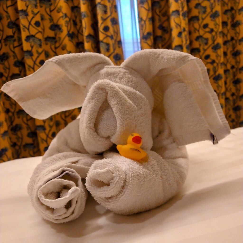 Kwek with towel animal on cruise ship MS Noordam Flat Stanley Alaska photo