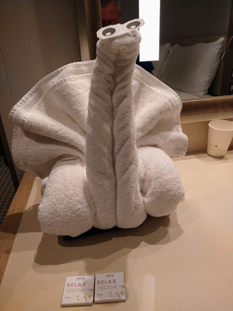 towel animal in our cabin  on the MS Roggerdam A snake? A turkey, no idea but it is cute, 